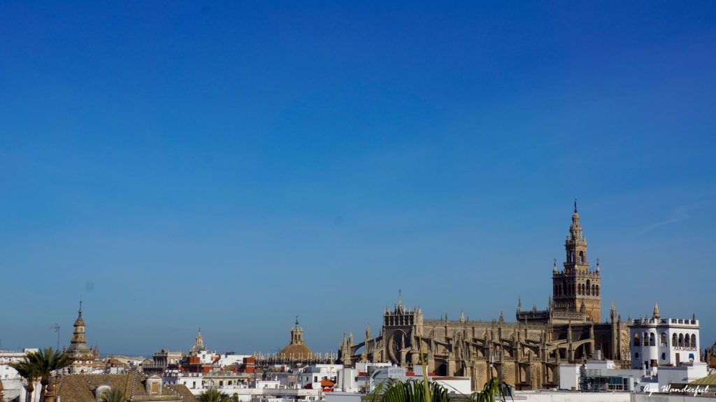 View of the Cathedral from top of Torre del Oro, Seville