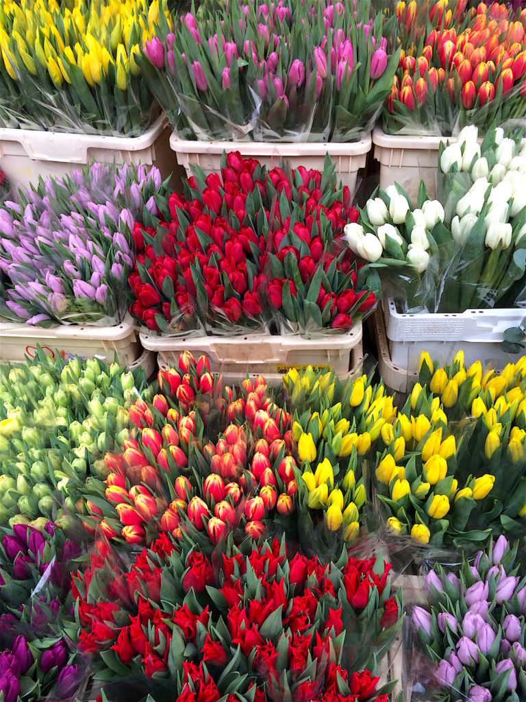 Columbia Road Flower Market