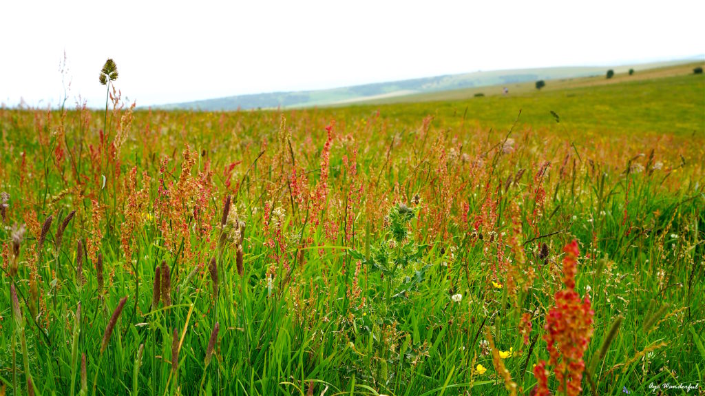 Devil's Dyke