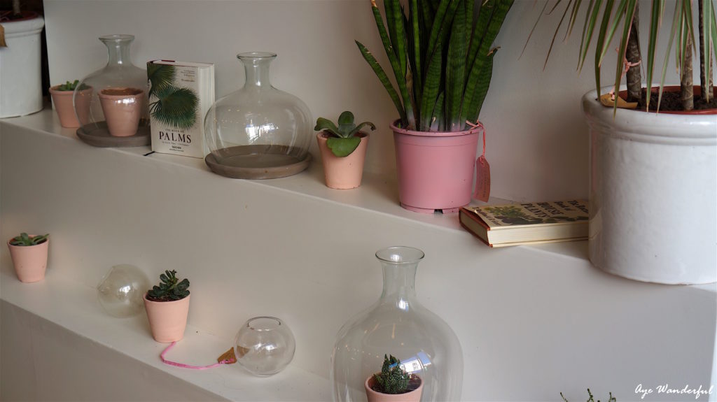 Palm Vaults