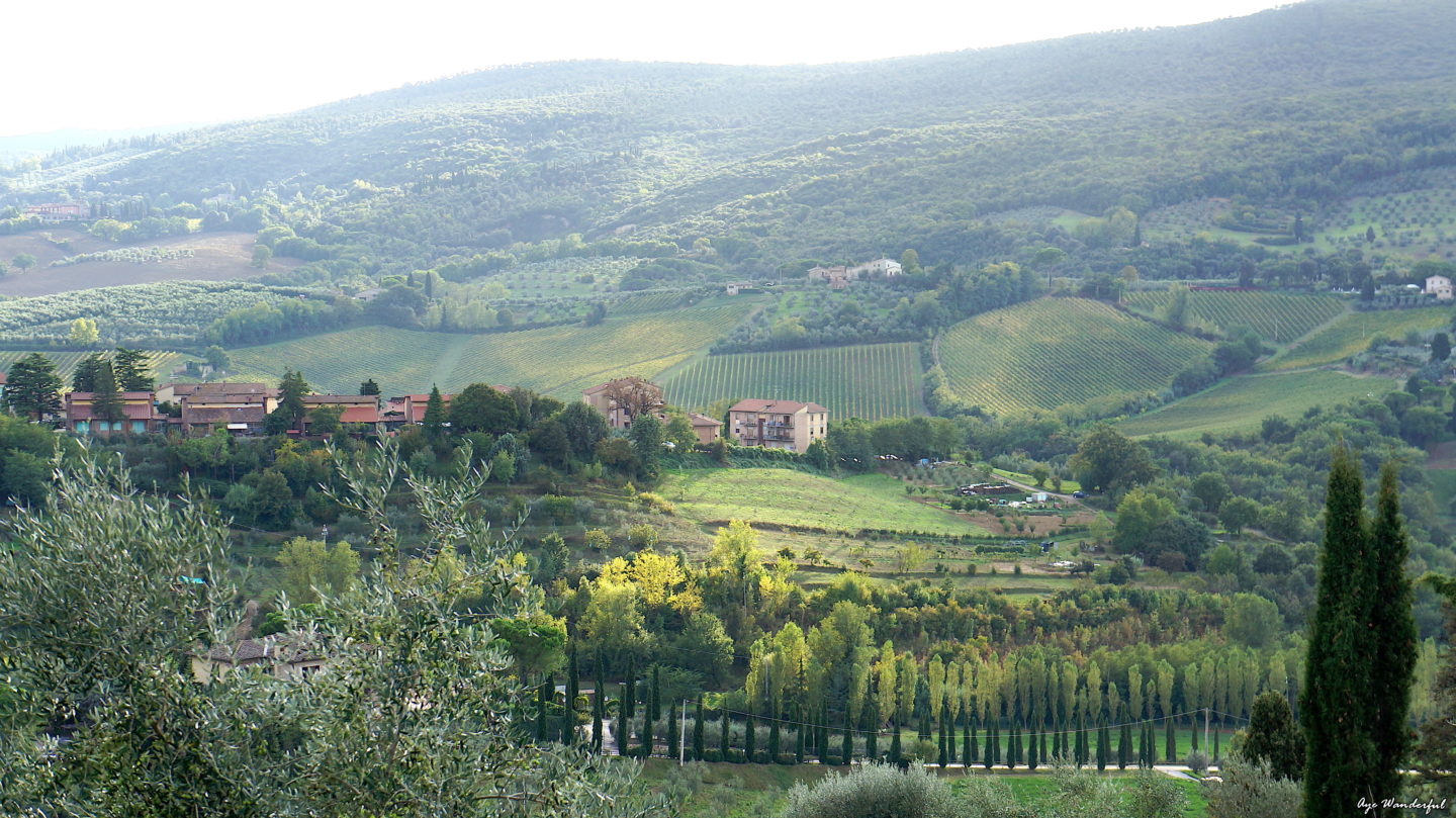 A day in San Gimignano | What to do in San Gimignano | Tuscany | Italy | Day trip from Siena | Day trip from Florence | Read more on www.ayewanderful.com