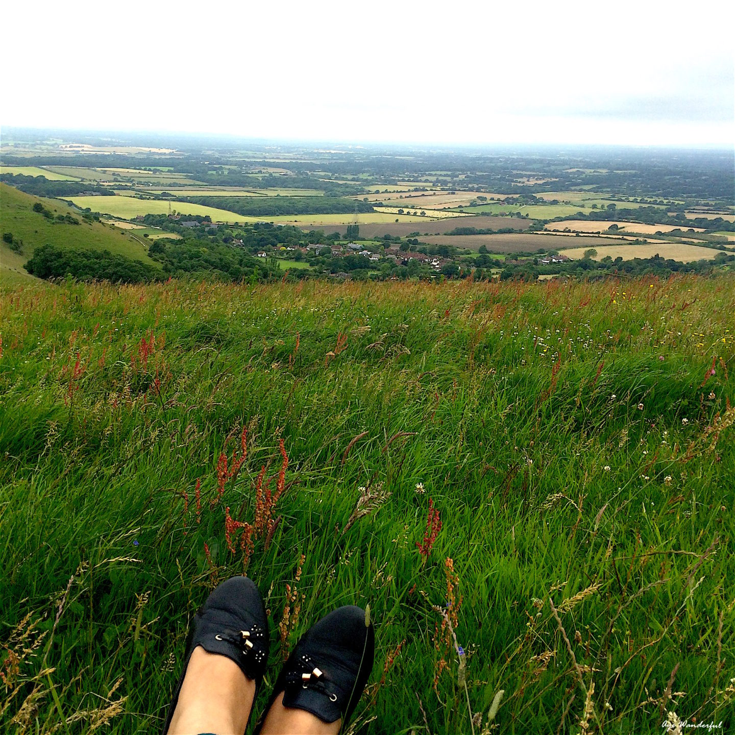 Summer picnic on Devil’s Dyke