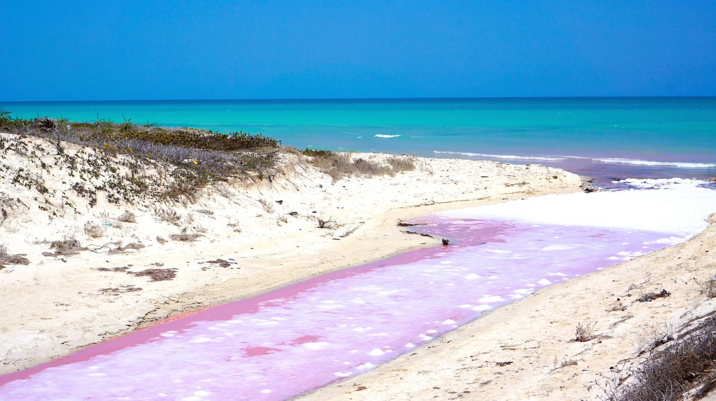 Pink lagoons | Las Coloradas | Merida Travel Guide | Things to do | Where to stay | What to eat | Restaurants | Transportation | Day Trips | Merida Mexico