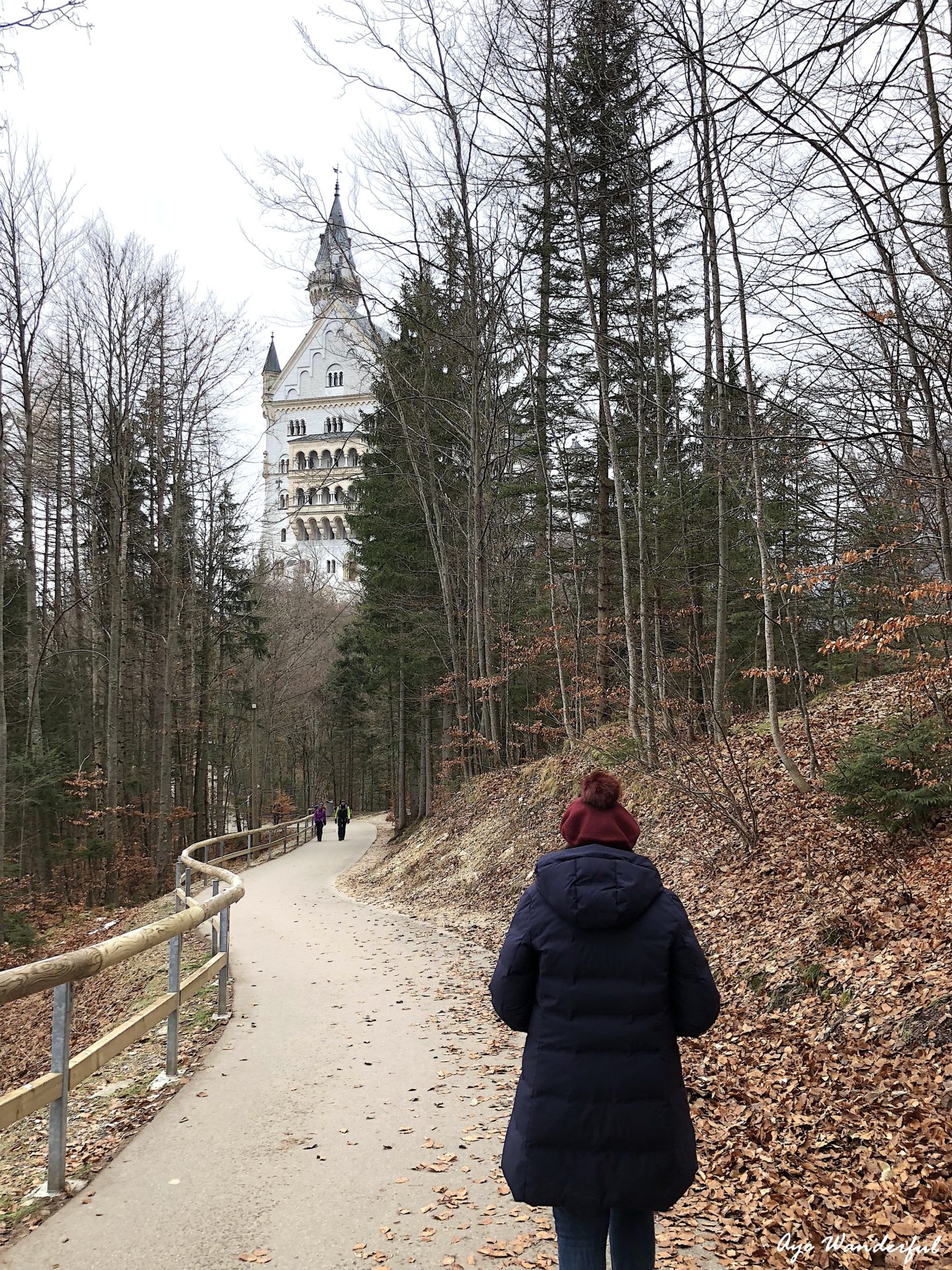 Neuschwanstein Castle | Germany | Day trip from Munich | Public Transport | Step by Step Guide | Read more on www.ayewanderful.com