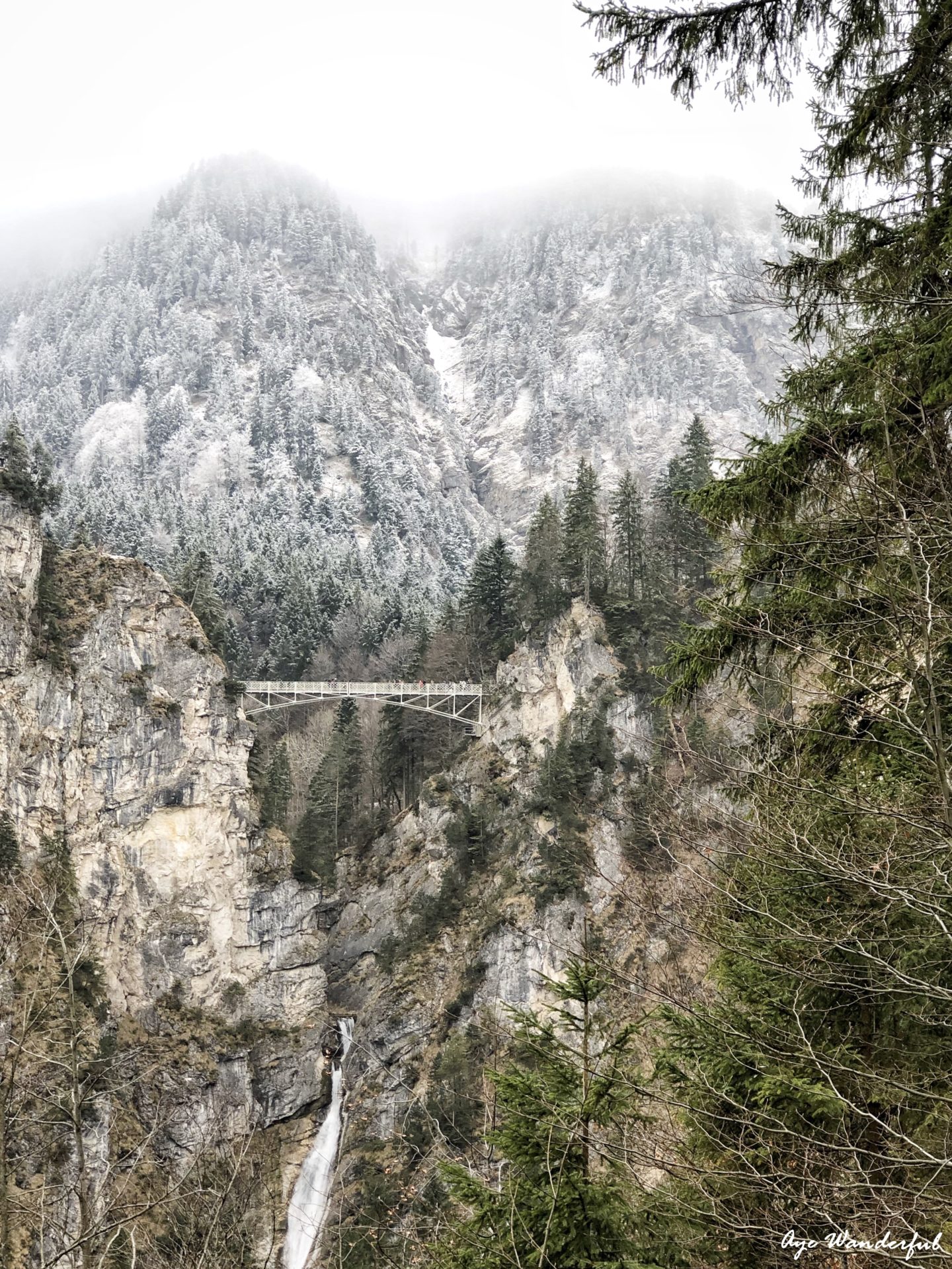 Neuschwanstein Castle | Germany | Day trip from Munich | Public Transport | Step by Step Guide | Read more on www.ayewanderful.com