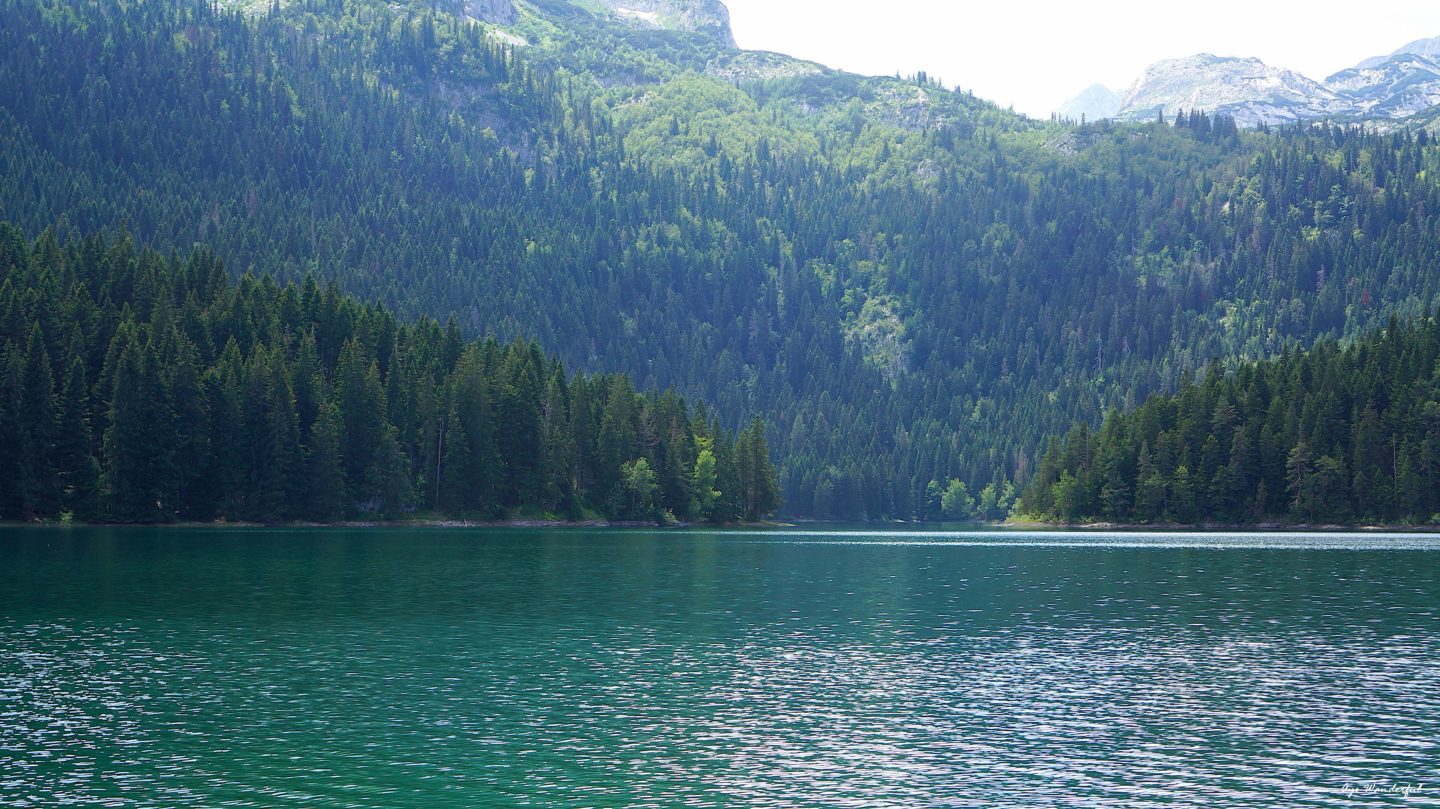 Black Lake Crno Jezero Durmitor National Park Montenegro