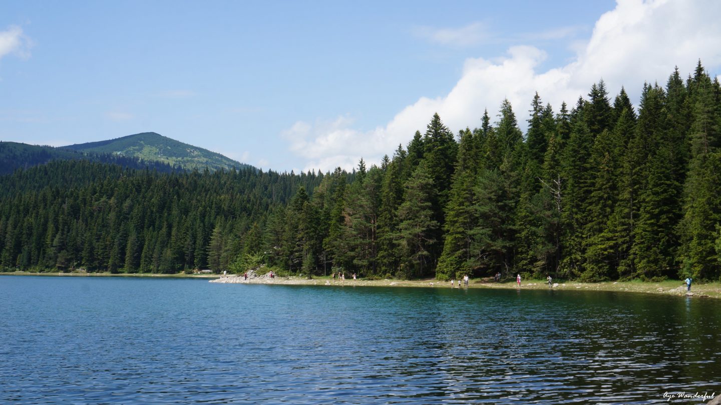 Crno Jezero Black Lake Durmitor National Park Montenegro