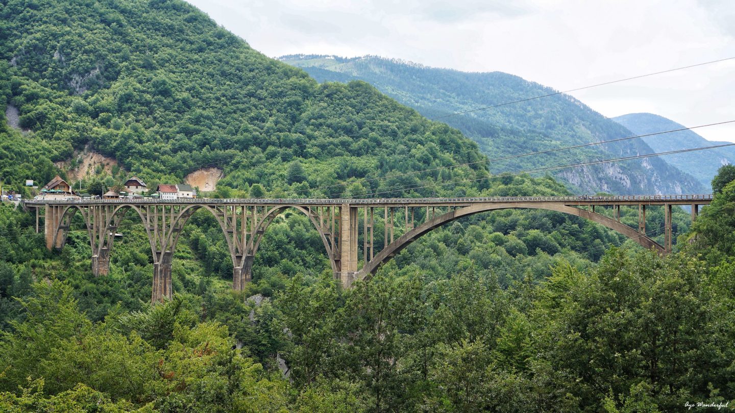 Tara River Bridge Canyon Durmitor National Park Montenegro