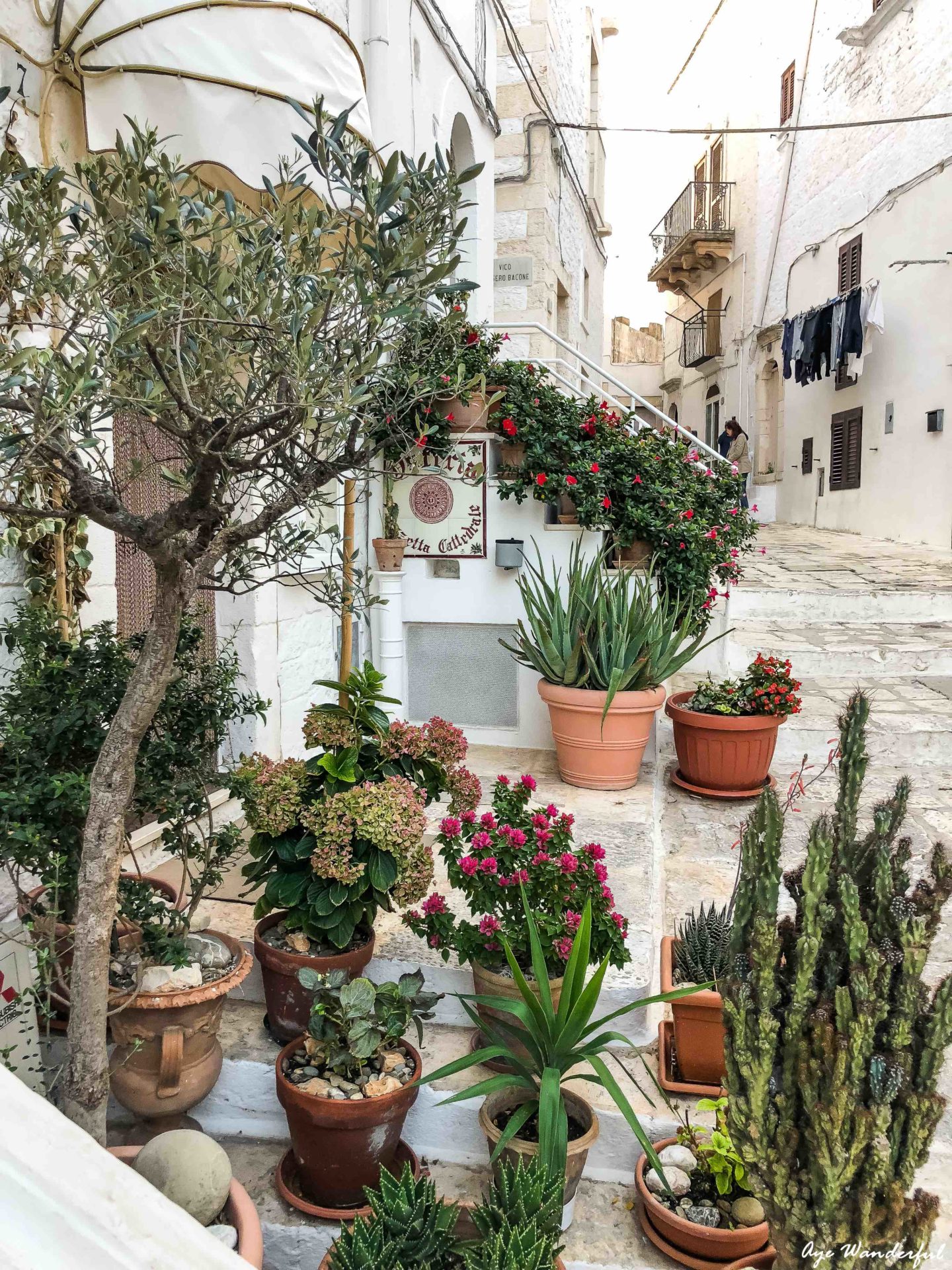 A travel guide for a quick getaway to Italy with everything you need to know about how to spend 2 days in Puglia in the charming towns of Ostuni and Alberobello.