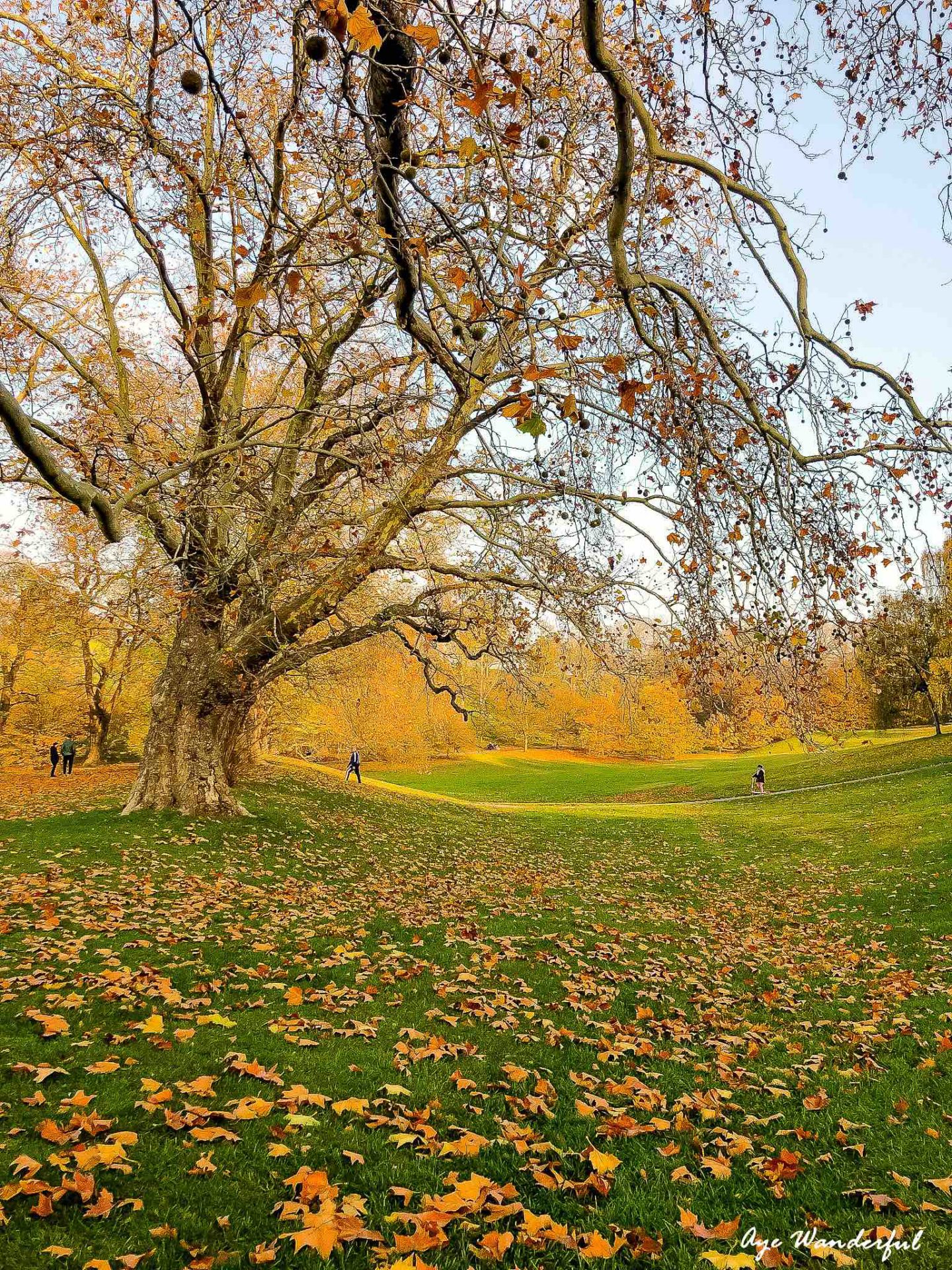 Autumn Day Out Greenwich Park