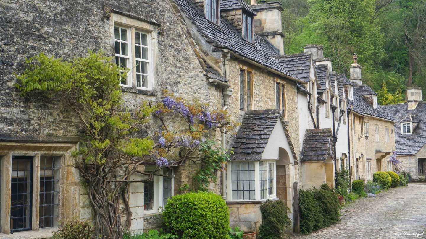 Castle Combe Cottages covered in Wisteria