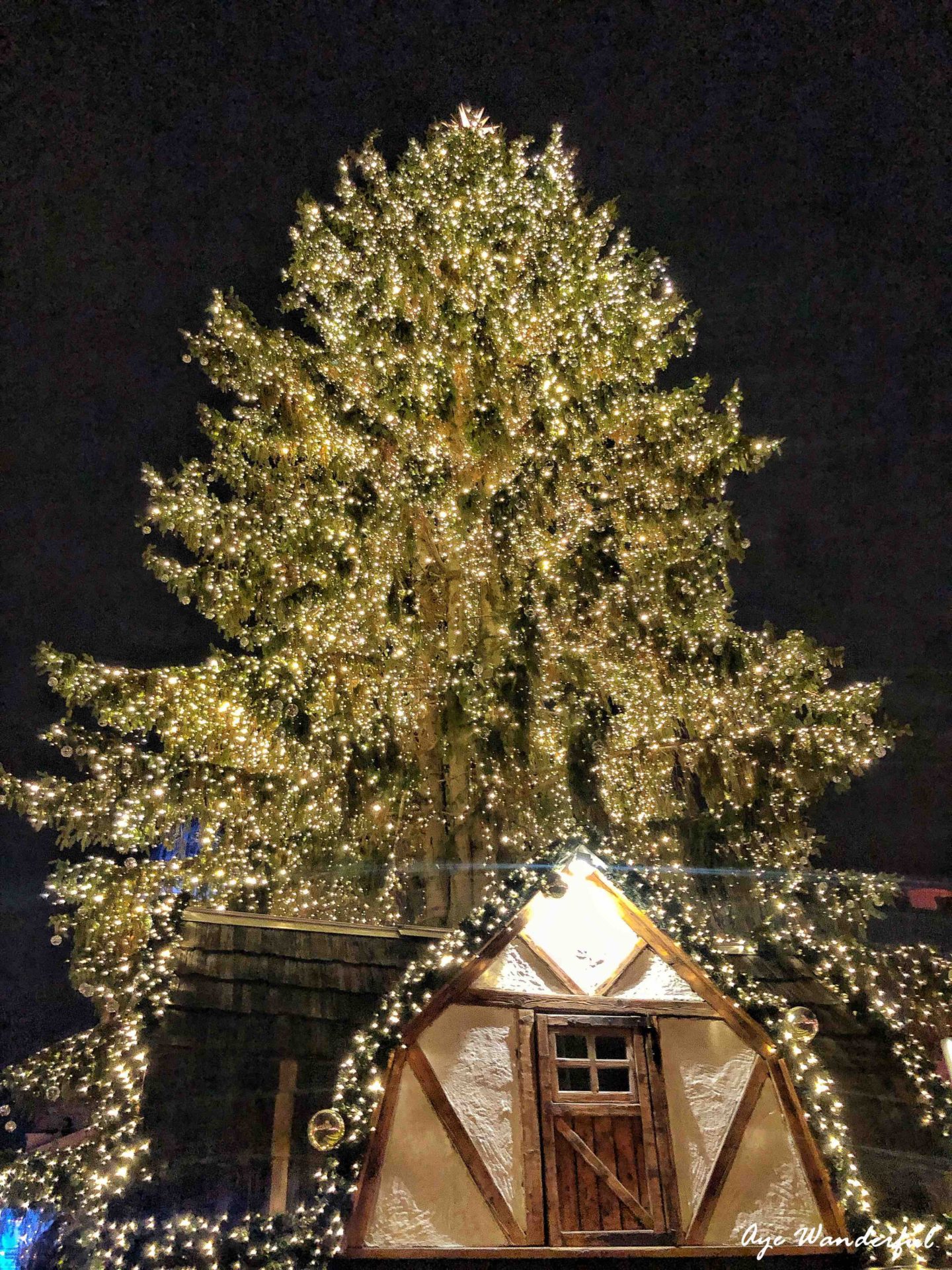 Gendarmenmarkt Christmas Market