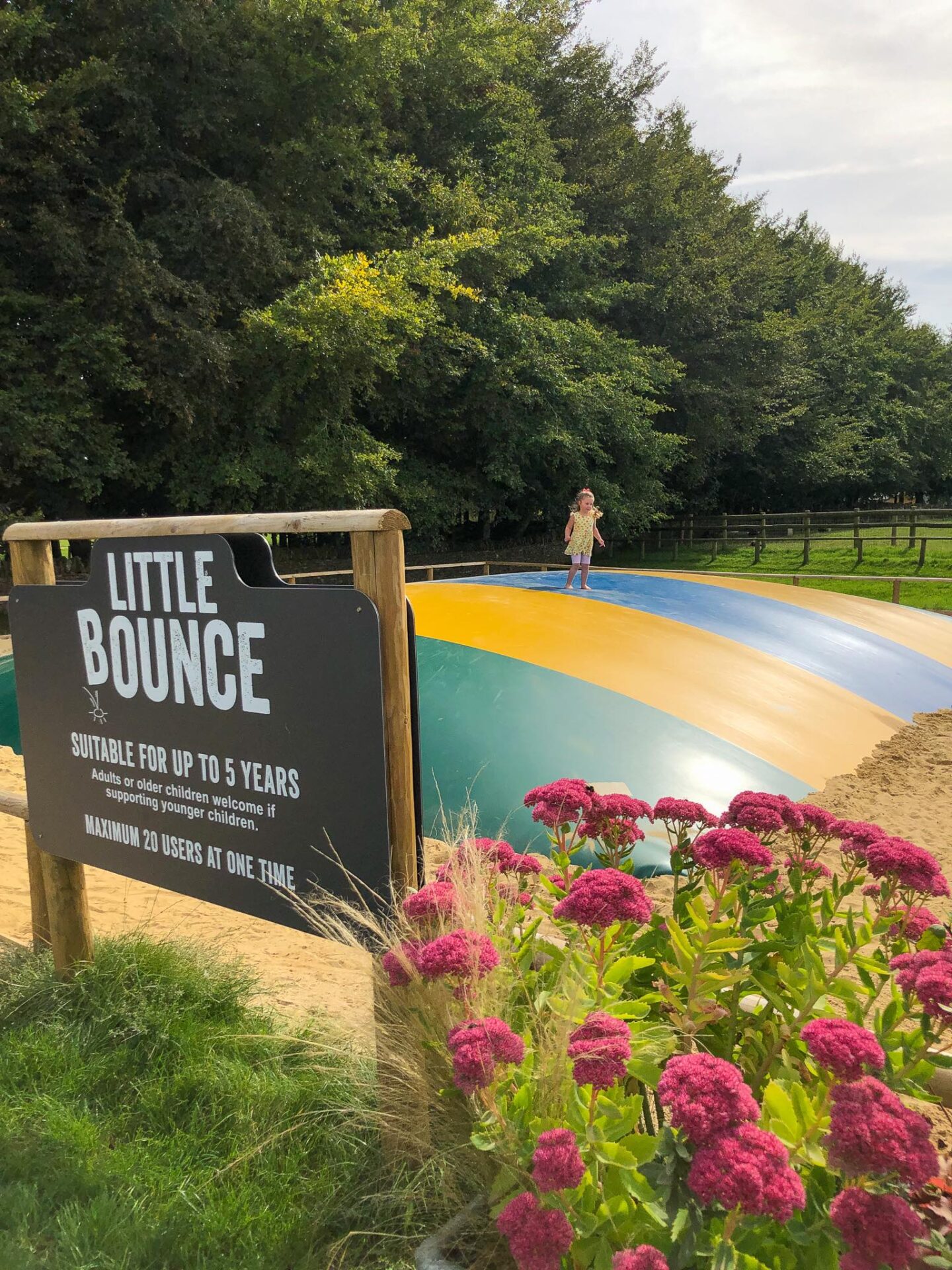 Bouncing Pillows at Cotswold Farm Park