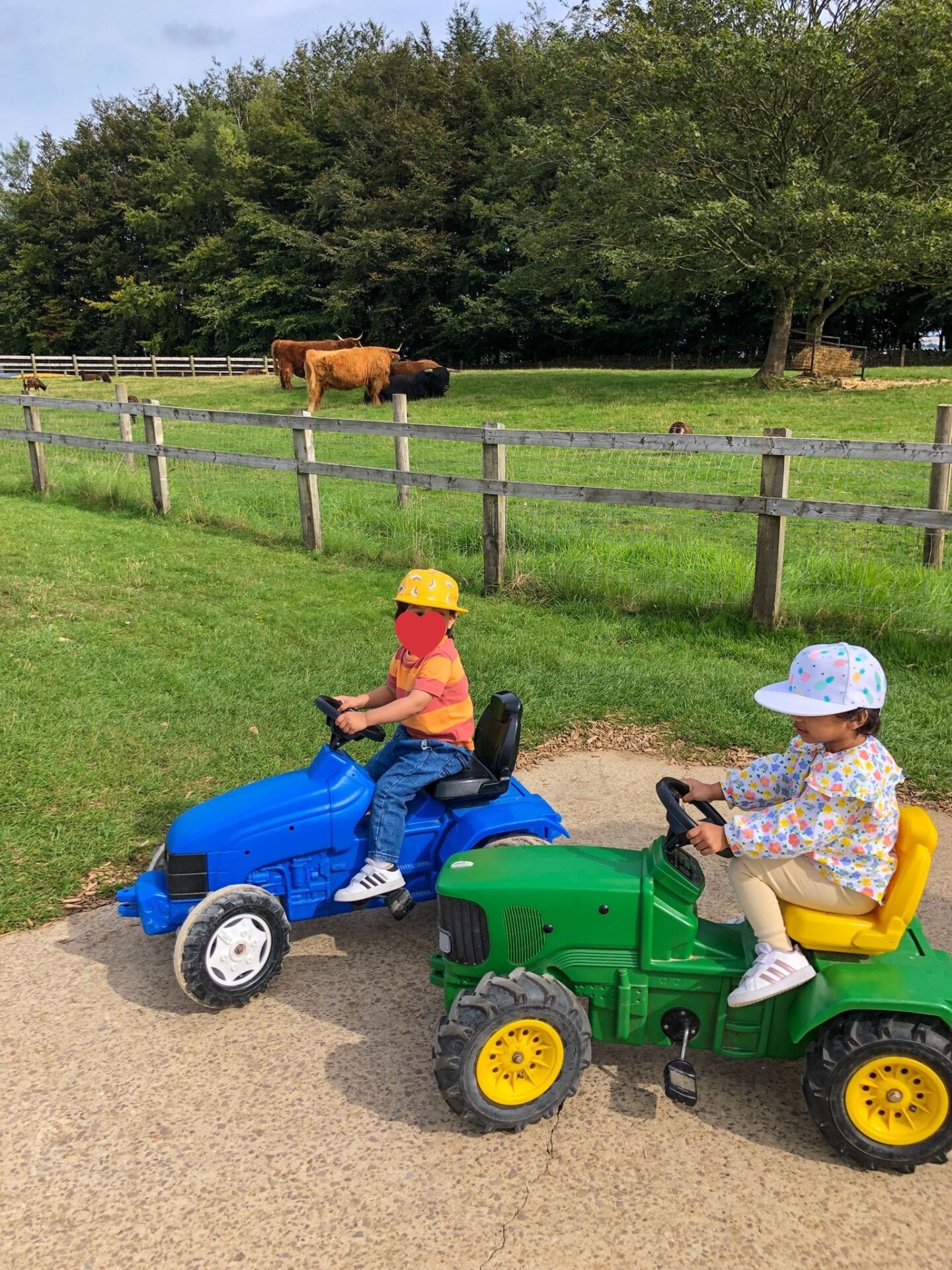 Mini tractors at Cotswold Farm Park