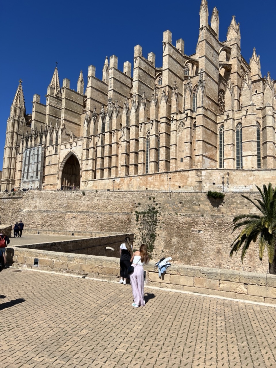 La Seu Cathedral Palma