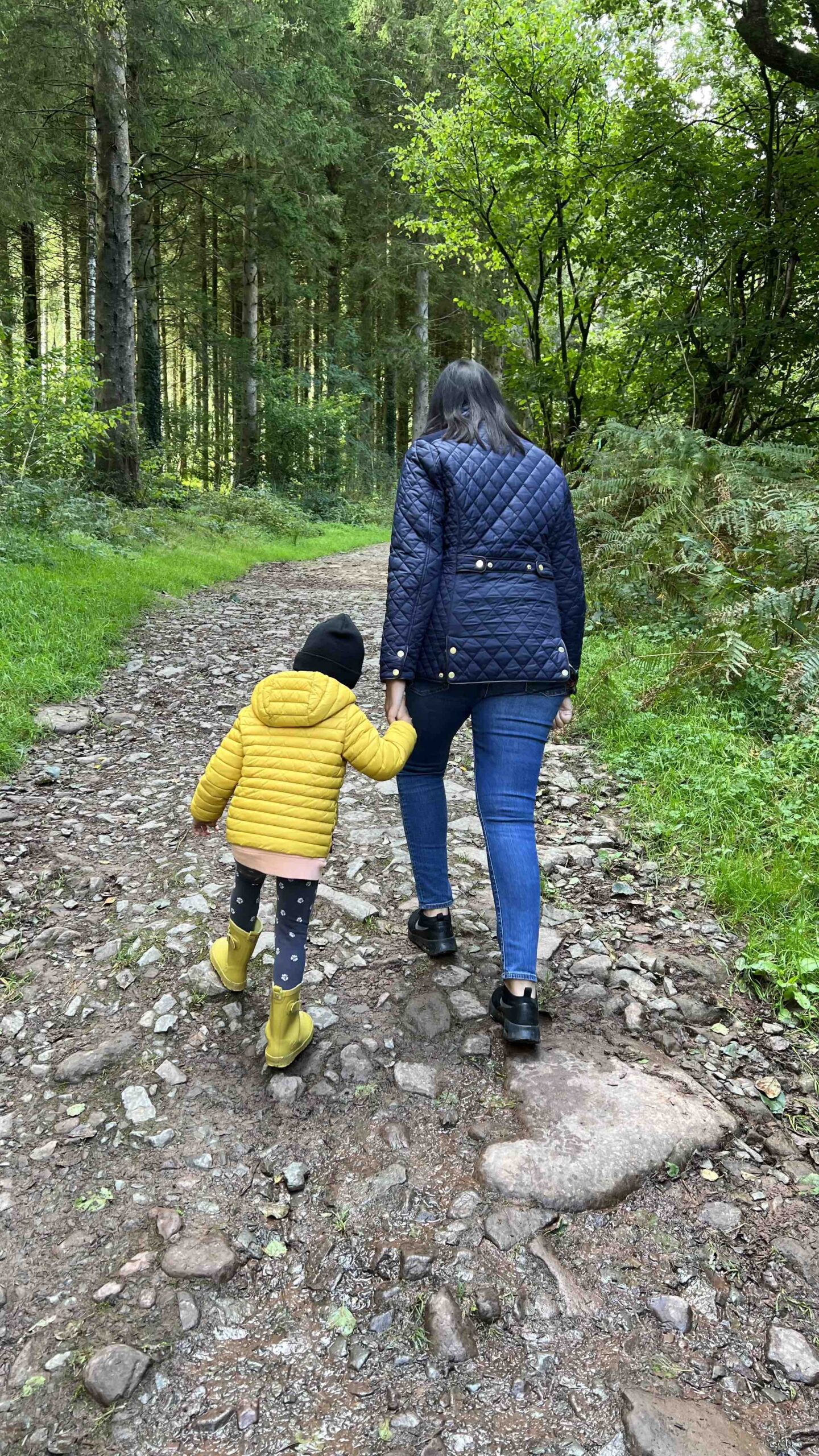 Blaen y Glyn Waterfall | 3-day itinerary to Brecon Beacons